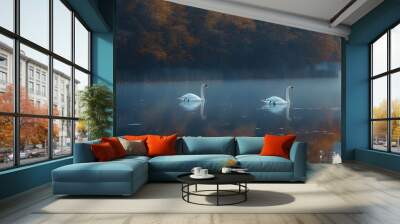 A serene shot of two swans gracefully gliding across a calm lake, with reflections of the birds and surrounding trees in the water. Wall mural