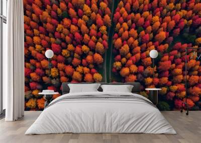 An aerial shot of a dense, colorful autumn forest, with fiery reds, oranges, and yellows stretching as far as the eye can see.  Wall mural