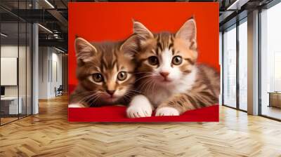 two cats on red background Wall mural