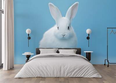 white rabbit on blue background Wall mural