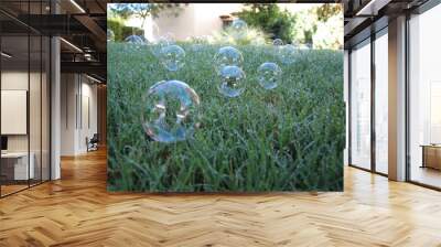 Bubbles on wet grass Wall mural