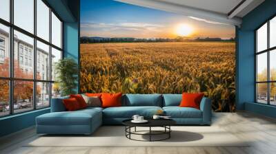 View of a wheat field with clear sky in the background Wall mural