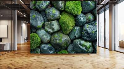 a bunch of rocks with green moss growing on them Wall mural