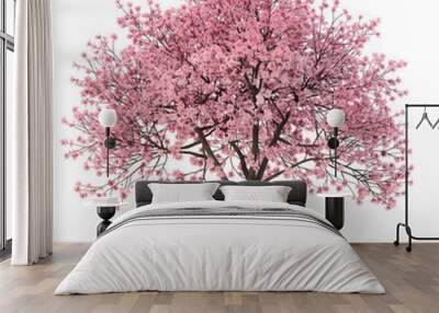 cherry blossom tree on transparent background Wall mural