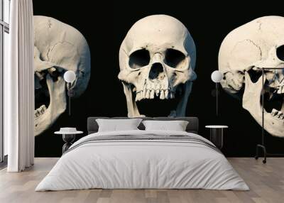 Sets Human Skull turned from different sides on rich colors. White isolated. The concept of death, horror. Symbol of creepy halloween. 3d rendering illustration. Wall mural