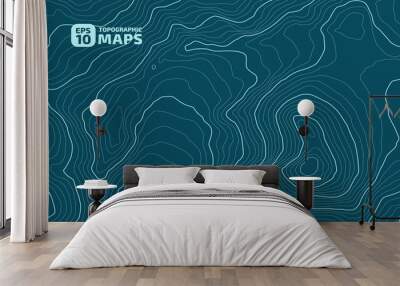 The stylized height of the topographic contour in lines and contours. Marine watershed. The concept of a conditional geography scheme and the water path. Vector illustration. Wall mural