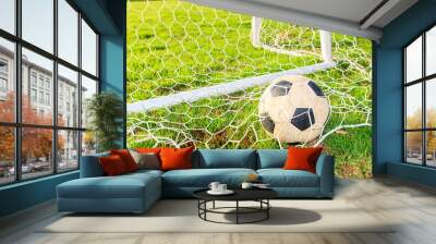 Soccer football field stadium grass  background texture Wall mural