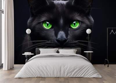 A black cat with green eyes staring at the camera from a close distance. Wall mural