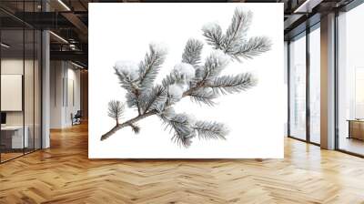 A wintry fir tree branch covered in snow standing out against a transparent background Wall mural