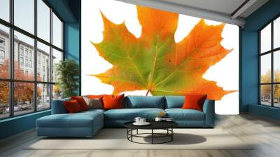 An orange and green maple leaf isolated on transparent background is what catches the eye Wall mural