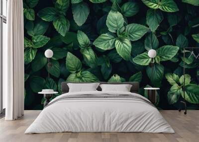 Background of plants in nature Wall mural