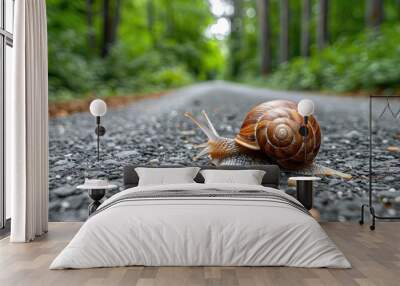 Brown snail on a grey path Wall mural