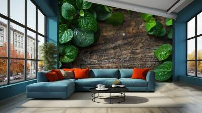 Copy space available for text Dischidia plant against wooden backdrop Wall mural