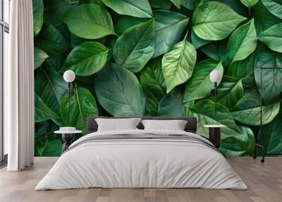 Green leaves arranged in a detailed nature border Wall mural