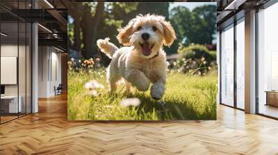 Happy pet dog playing on green grass lawn in full length portrait on summer day Wall mural