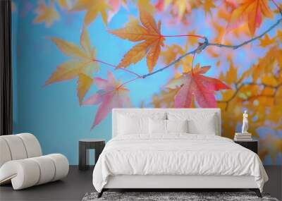 Korean Maple Leaves in Autumn under Blue Sky Wall mural