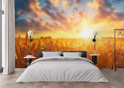 Mature wheat heads in a farm field beneath a clear sky adorned with beautiful clouds. Wall mural