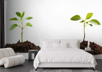 Seedling alone on transparent background Wall mural