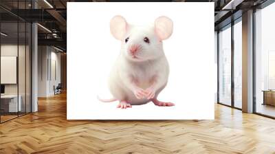 transparent background white mouse Wall mural