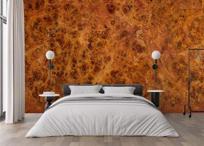 Nature Afzelia burl wood striped are wooden beautiful pattern for crafts or art background Wall mural