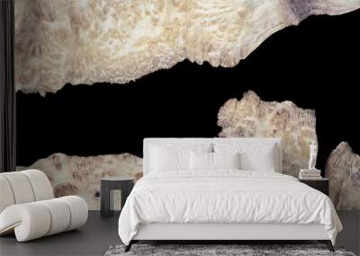 Top view casting epoxy resin walnut burl wood background texture Wall mural