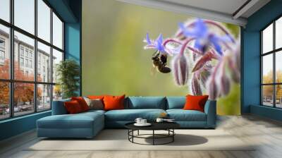 abeille 2 Wall mural