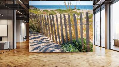 Paysage de plage au milieu des dunes de sable en france. Wall mural