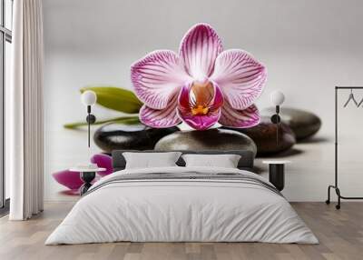 smooth spa stones with a single orchid flower  Wall mural