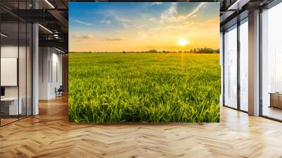 Beautiful environment landscape of green field cornfield or corn in Asia country agriculture harvest with sunset sky background. Wall mural