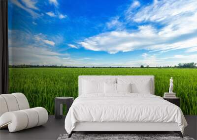 Beautiful green cornfield with sunset sky background. Wall mural