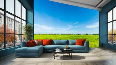 Scenic view landscape of Rice field green grass with field cornfield or in Asia country agriculture harvest with fluffy clouds blue sky daylight background. Wall mural