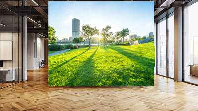 city skyline with green lawn Wall mural