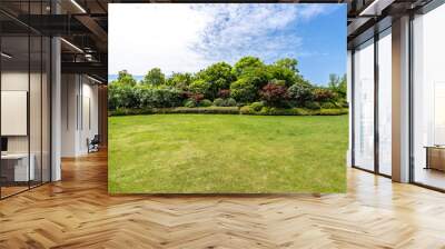 trees in park Wall mural