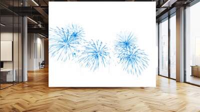 Fireworks illustration art on white background. Wall mural