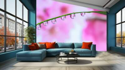 Water drops on the flower background Wall mural