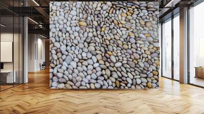 abstract background with dry round reeble stones Wall mural