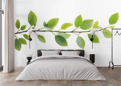 Branch with fresh green leaves against a clean white background, ideal for nature-themed graphics and botanical designs Wall mural