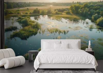 Present an aerial view of wetlands during a tranquil summer evening, with dragonflies darting over the reflective water surfaces Wall mural