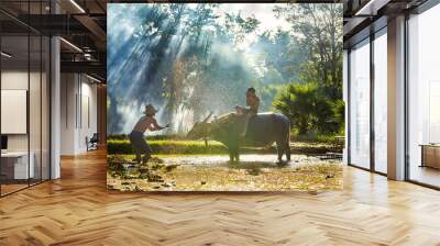 Farmers showering buffalo and children boy after plowing. The way of life of Southeast Asian people walking through rural areas rice fields, Sakon Nakhon Province, Thailand. Wall mural