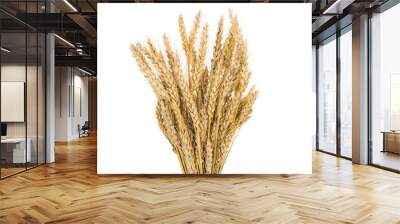 Wheat crops on white background, isolated Wall mural