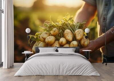 Hand holding fresh potatoes Wall mural