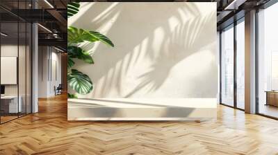 green monstera in sunlight, shadow of leaves on a white exterior wall in the background generative ai Wall mural