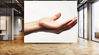 hand offering a gesture of help, white background generative ai Wall mural