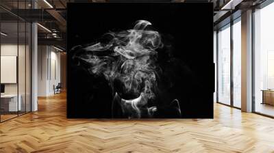 abstract fragment movement of white smoke on black background. Wall mural