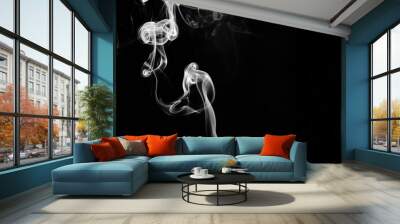 abstract fragment movement of white smoke on black background. Wall mural