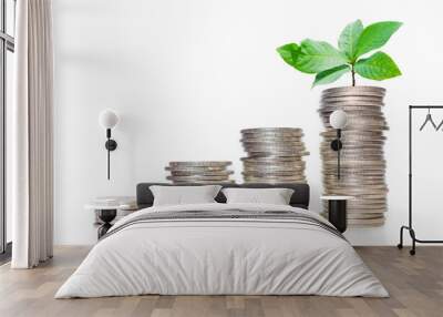 business financial planning concept. row of coins stack with green plant growth up on white background. money management sustainable savings. success investment. Wall mural