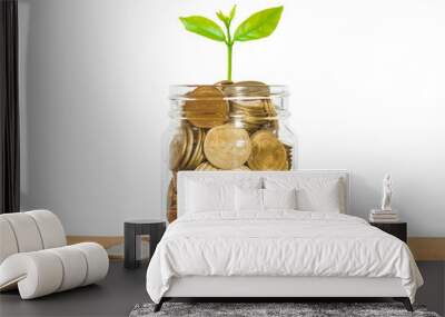 coin stack money saving concept. green leaf plant growth on rows of coin on white background. money matters tips to investment and business financial banking for Financial Wellness. Wall mural