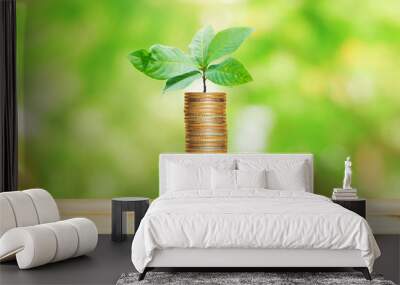 financial money saving concept. green plant growing on coin stack. Wall mural