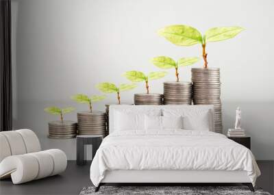 green seed growth on coins stack with white background. money saving. business investment successful growing concept. Wall mural