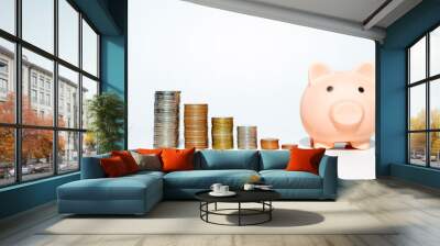 money saving concept coin row stack and piggy bank on white background. financial business and investment. Wall mural